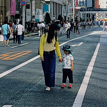 Urban Development, Resilience, and Land