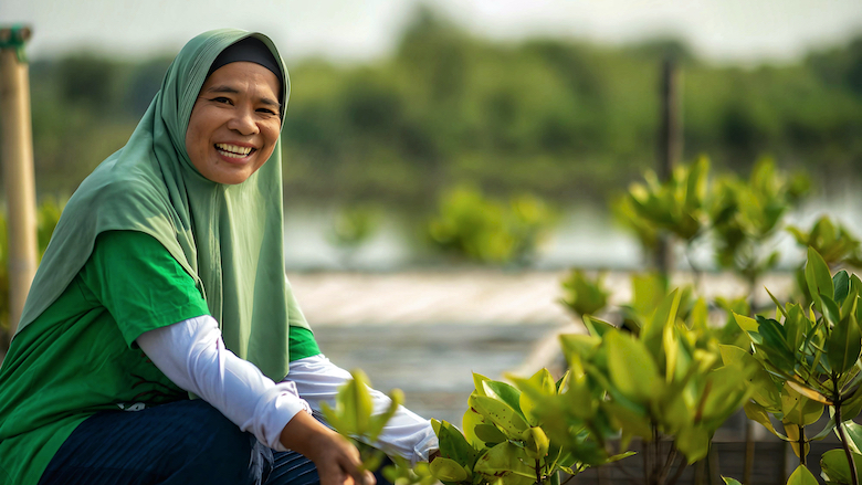 Indonesia Nature-Based Solutions